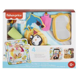 Fisher Price Dive Right In Activity Mat Baby Playmat With Toys - 330491