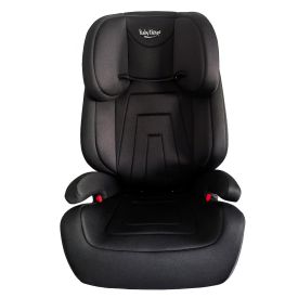 Baby Things Booster Seat