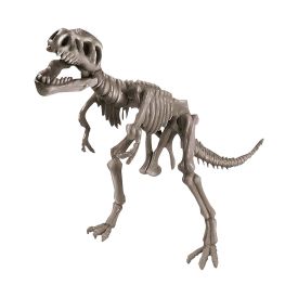 4m Tyrannosaurus Rex Skeleton - 336355